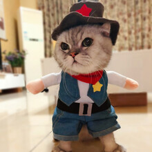 猫咪衣服狗狗抖音同款网红宠物服饰幼猫小猫春秋款可爱搞笑搞怪装 牛仔装 S