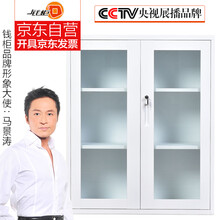 钱柜钢制矮柜储物柜文件柜铁皮柜办公柜资料柜档案柜拆装 白鲨玻对开1090