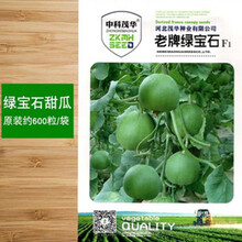 甜宝甜瓜种子苗 日本甜宝香瓜蜜瓜绿皮绿宝石蔬菜种子种籽高产菜 老牌绿宝石30粒