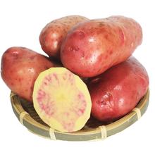 新鲜红心土豆 丽江紫心洋芋云南特产农家自种大洋芋紫心彩色马铃薯 10斤