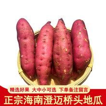 新鲜红薯  海南澄迈桥头富硒地瓜番薯桥沙板栗薯 5kg
