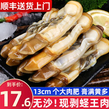 海皇湾4件包顺丰】海皇湾 大蛏子肉 250g 大竹蛏子冷冻竹节蛏海圣子王 蛏子肉250g