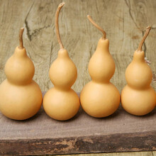 寿禾 葫芦籽种子葫芦瓜特大文玩手捻菜葫芦水瓢食用特大迷你巨型特小庭院把玩户外室内盆栽葫芦种籽菜仔 小亚腰葫芦种子【10-15cm】 8粒装