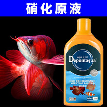 德邦Depont血鹦鹉鱼综合剂发财鱼锦鲤药剂鱼病调理剂微生物净水鱼药水硝化细菌换水常备 高浓缩硝化细菌700ml