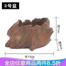 乌龟缸真水草活体鱼缸装饰套餐植物大水榕沉木水草淡水懒人水族箱 2号盆