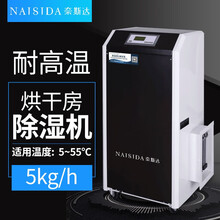 奈斯达（NAISIDA）耐高温烘干除湿机价格AY-GH5K香菇红薯红枣辣椒小型烘干 AY-GH5K