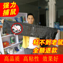户净 老鼠贴粘鼠板力驱鼠灭鼠魔毯神器夹药抓老鼠粘鼠药胶捕鼠家用非神器 1张 当天配发