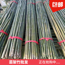 竹竿菜园搭架户外竹杆架种菜彩旗杆豆角架黄瓜架菜架小竹子细竹竿 3厘米粗2米长10根