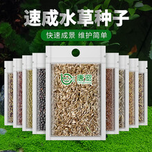 【拍三免一】唐宠 水草种子鱼缸造景草籽水族箱装饰活体前景草阴性牛毛対叶心形爱情幸运草 小叶迷你对叶 15g
