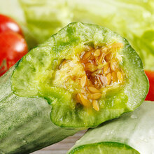 羊角蜜瓜种籽甜瓜苗脆瓜瓜种酥四季种孑冬季种植山东水果瓜类种子 羊角蜜甜瓜苗 5棵