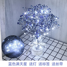 鲜花真花干花花束装饰摆件满天星永生花风干文艺松果粉黛真花家居客厅摆设SN2517 满天星蓝色套装 干花包