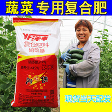 蔬菜瓜果专用复合肥通用型水溶肥料盆栽花有机肥种菜家用尿素钾磷 磷肥3斤