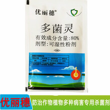 稼得利 80%多菌灵 土壤消毒剂炭疽病 小麦纹枯病赤霉病月季多肉叶斑病烟煤病菌核病杀菌剂 10袋 20克/袋