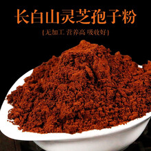 御鹿庄 长白山灵芝孢子粉头道灵芝粉林芝袍子粉头道细粉 孢子粉3瓶+1瓶灵芝片