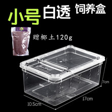 宝贝故事 爬虫饲养盒 爬宠箱蚕宝宝蜘蛛角蛙守宫盒蜥蜴宠物蛇蜗牛昆虫塑料乌龟缸 小号白透饲养盒（升级款）