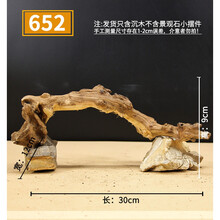 精品沉木大号珊瑚木鱼草缸造景原生天然流木装饰树根杜鹃根新品 珊瑚木652
