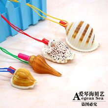 天然大海螺螺号哨子儿童玩具海螺口哨贝壳工艺品可吹号角儿童礼物 套餐四