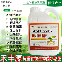 根腐康 生根壮苗剂生根剂养根肥抗重茬微生物菌剂生物菌肥水溶有机肥料园艺绿植移栽扦插 5000ml/桶