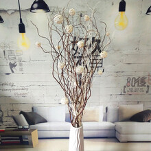 干花叶脉花曲柳天然树枝装饰客厅落地玄关隔断橱窗干枝装饰花 咖白干枝套装带瓶 干树枝