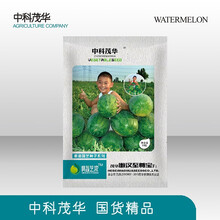 中科茂华懒汉至尊宝西瓜种子免整枝免打叉耐低温不空心不起棱超甜薄皮墨绿色大果西瓜种籽家庭园艺阳台盆栽 懒汉至尊宝10克/袋【约160粒】