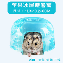 【跑来跑去】仓鼠陶瓷窝大贝壳夏天降温睡房 金丝熊降温房消暑陶瓷小窝 仓鼠用品玩具大胖陶 苹果冰屋