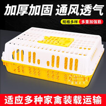 成鸡周转箱加强型特大运输笼塑料鸡鸭鹅鸽子笼鸡用运输筐鸡笼子 黄白色加厚9.6斤 货号齐全