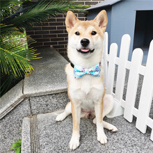 柴柴 和风日式原创手工宠物猫咪狗狗脖圈配饰品布偶猫柯基法斗泰迪柴犬蝴蝶结领结领带 蓝樱花 XS(脖围19-25)2-7斤