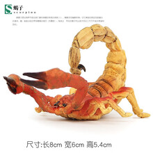 儿童仿真昆虫模型动物玩具蜜蜂独仙角蝴蝶草蜢螳螂七星瓢虫礼物 蝎子