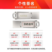 闪迪（SanDisk） 至尊高速酷锃USB3.1优盘TYPE-A双接口闪存盘Type-C手机两用U盘 私人定制 1TB