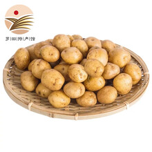 罗田馆 恩施小土豆高黄皮黄心 2.5kg  新鲜蔬菜 鸭蛋大小5斤【15-30个】