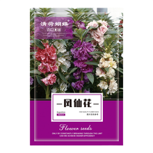 清荷蝴蝶 茶花七彩凤仙花种子重瓣四季开花庭院室内阳台盆栽花种籽子指甲花.四季种植指甲花种子易活 茶花凤仙种子 5克约500粒 原包装