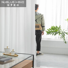 诺罗 北欧简约窗纱纱帘天丝绒白纱透光不透人阳台纱客厅飘窗遮光窗帘纱 白色天丝绒纱普通挂钩款 宽2米*高2.5米/1片