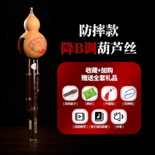 葫芦丝乐器初学者学生入门自学 防摔型 降B调葫芦丝