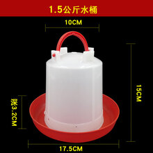 小鸡饮水器食槽自动喂食鸡料桶喂水器喝水壶鸡饮水器养鸡设备用品 加厚水桶3斤