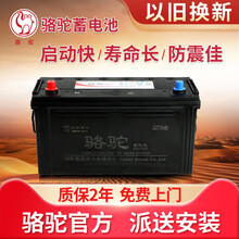 骆驼CAMEL卡车汽车电瓶汽车蓄电池上门安装 6-QW-100  多利卡