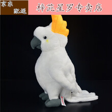 葵花凤头鹦鹉 商品搜索 京东