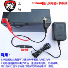 6v7ah童车蓄电池电动玩具车电瓶6伏10/12ah通用3fm7儿童汽车电池 6V12AH电瓶+充电器套餐