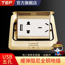 TEP国际电工 USB五孔地插 隐藏式家用地面地板插座全铜防水阻尼多功能 五孔带usb