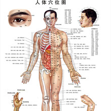 薛医生 指夹式血氧仪 睡眠监护 血氧饱和度监测仪 测心率 脉搏监护 PI指数监测 ce认证 Z-22 血氧仪搭配