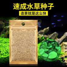 博宇水草种子 鱼缸造景 水族箱装饰 前景草淡水植物造景速成牛毛草迷你珍珠小对叶种子 迷你牛毛草种子8g*1袋装