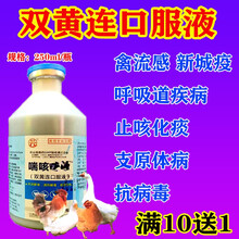 双黄连口服液兽药兽用双黄莲鸡药大全鸡药新城疫流感鸭鹅感冒呼吸道抗病毒 250ml/瓶 250ml/瓶