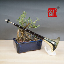 八音唢呐乐器全套唢呐初学者民间喇叭 初学者乌木D调+8大黄碗