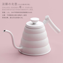 日本岩房Gls小金刚电陶茶炉 日本南部老铸铁壶铜壶泡茶玻璃茶壶煮茶器电茶炉家电功夫茶炉 不锈钢304烤白漆北壶1.2L