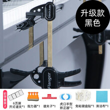 Flanger 钢琴手型矫正 升级版4个八度 手腕练习器 儿童指法矫正 钢琴通用 （夹板式升级款）黑色矫正套餐2【6大礼包】