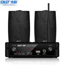 先科（SAST）D23 有源无线壁挂音响套装 家用会议室店铺公共广播影音音箱组合 一拖二套装