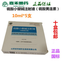 兽药硫酸小檗碱注射液 黄连素针剂 猪牛羊马拉稀肠炎痢疾腹泻