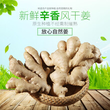 瑞合盈 山东大姜生姜风干姜老姜母黄姜新鲜蔬菜 不带泥 3斤