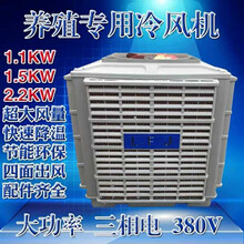 养殖场冷风机设备办公室工厂冷风扇鸡场猪场专用水帘水冷空调 1.5冷风机