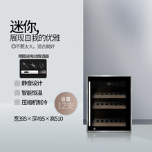 隐逸名望（EREMITE） EM-12家用迷你小型红酒柜恒温微型葡萄酒柜小压缩机红酒柜储藏保鲜冷饮柜