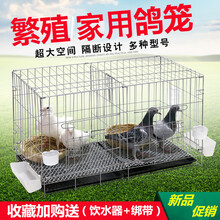 白鸽笼鸽子笼养殖笼鸽子配对笼大号鸽子笼家用带隔断繁殖鸽笼清仓 双层60*42*50带托盘食具脚垫草窝
